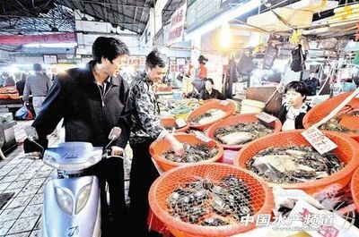湖北武漢“螃蟹大軍”進城 收購價比往年高2成 - 內(nèi)銷市場 - 中國水產(chǎn)頻道 | 網(wǎng)聚全球水產(chǎn)華人