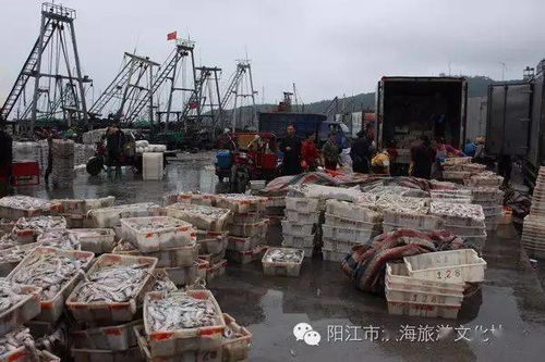 投資1.3億元 廣東陽江閘坡水產(chǎn)品交易物流中心將成新熱點