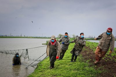 東風(fēng)農(nóng)場:管控也是服務(wù) 保供也是責(zé)任