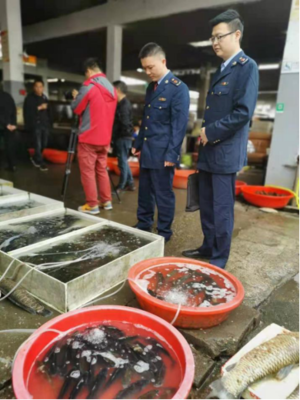 “魚販”頂風(fēng)作案 沅江市市場監(jiān)管局開16000元罰單