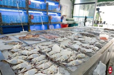 梭子蟹、竹節(jié)蝦、方板魚…今年第一網(wǎng)東海海鮮登陸崇明