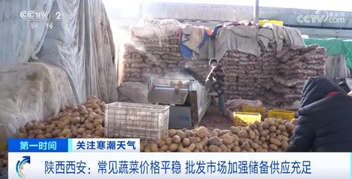 寒潮天氣下菜價平穩(wěn) 各地是如何保障 菜籃子 量豐價穩(wěn)的
