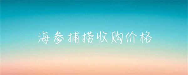 海參捕撈收購(gòu)價(jià)格