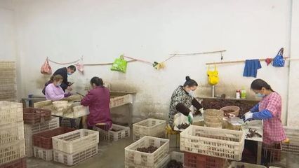 【城市】漢川到上海---自主順風(fēng)車(chē)專(zhuān)區(qū)/漢川交通公路建設(shè)項(xiàng)目按下“復(fù)工鍵”/漢川劉家隔鎮(zhèn)市場(chǎng)監(jiān)管所助力經(jīng)營(yíng)業(yè)主有序恢復(fù)營(yíng)業(yè)…