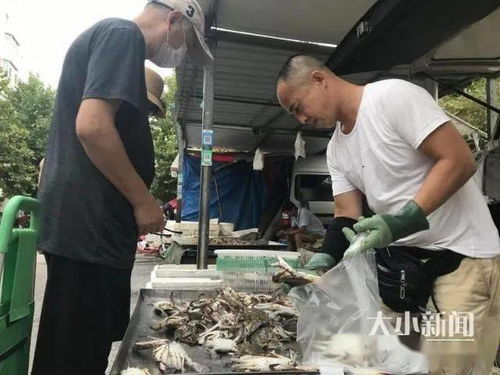 不買螃蟹就虧了 南方螃蟹供應大增 性價比高,倍受老百姓青睞