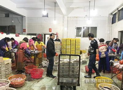 逆境求生:我縣水產行業完成自身產業升級