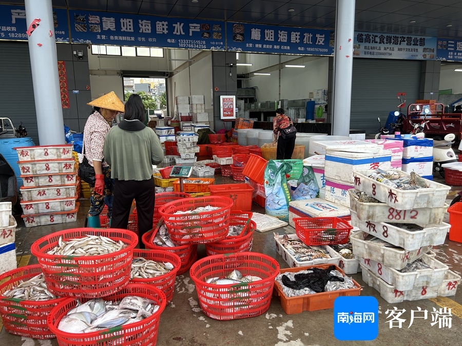 臨高:漁船回港漁獲多 水產市場交易忙