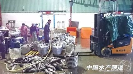 回顧水產人驚心動魄的一年