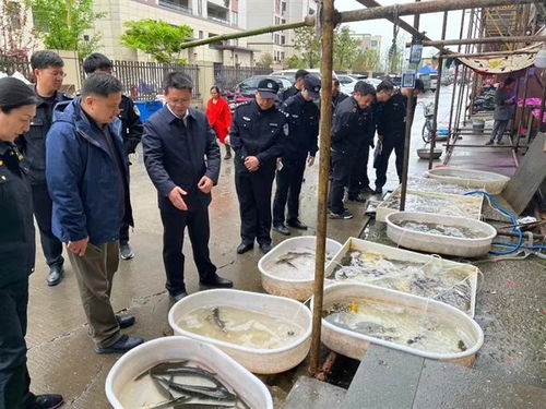 揚州 禁漁執法不停歇 持續打擊不松勁