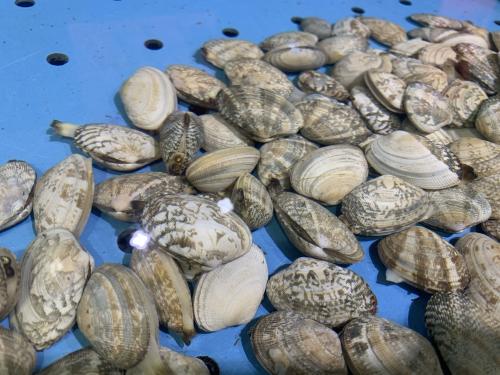 水產飼料 擬收購i v公司51 股權 預制菜 粵海飼料觸及漲停