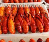 冷凍水產品鯧魚熱賣促銷