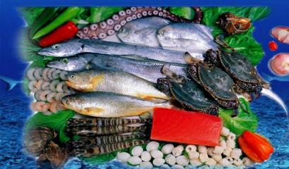 青島市城陽區海源盛水產食品廠加盟