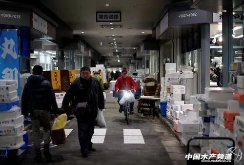 豐洲水產品批發市場東北部地面裂縫越來越大,安全隱患加劇